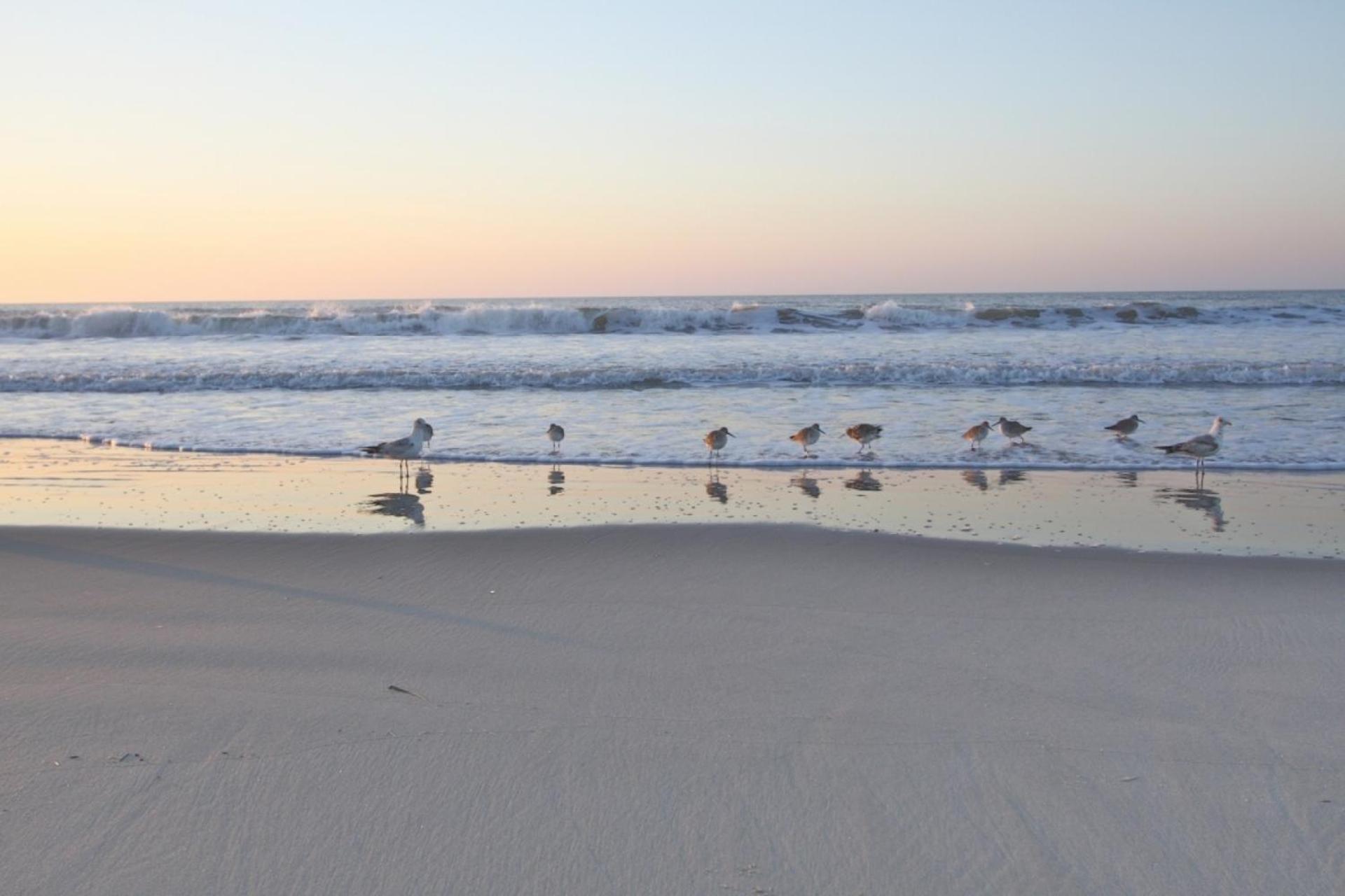 Just Beachy Villa Isle of Palms Buitenkant foto